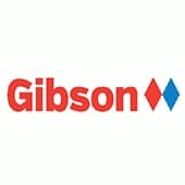 Servicio técnico reparación Gibson a domicilio Tarragona