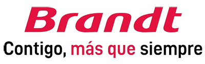 tecnico brandt tarragona
